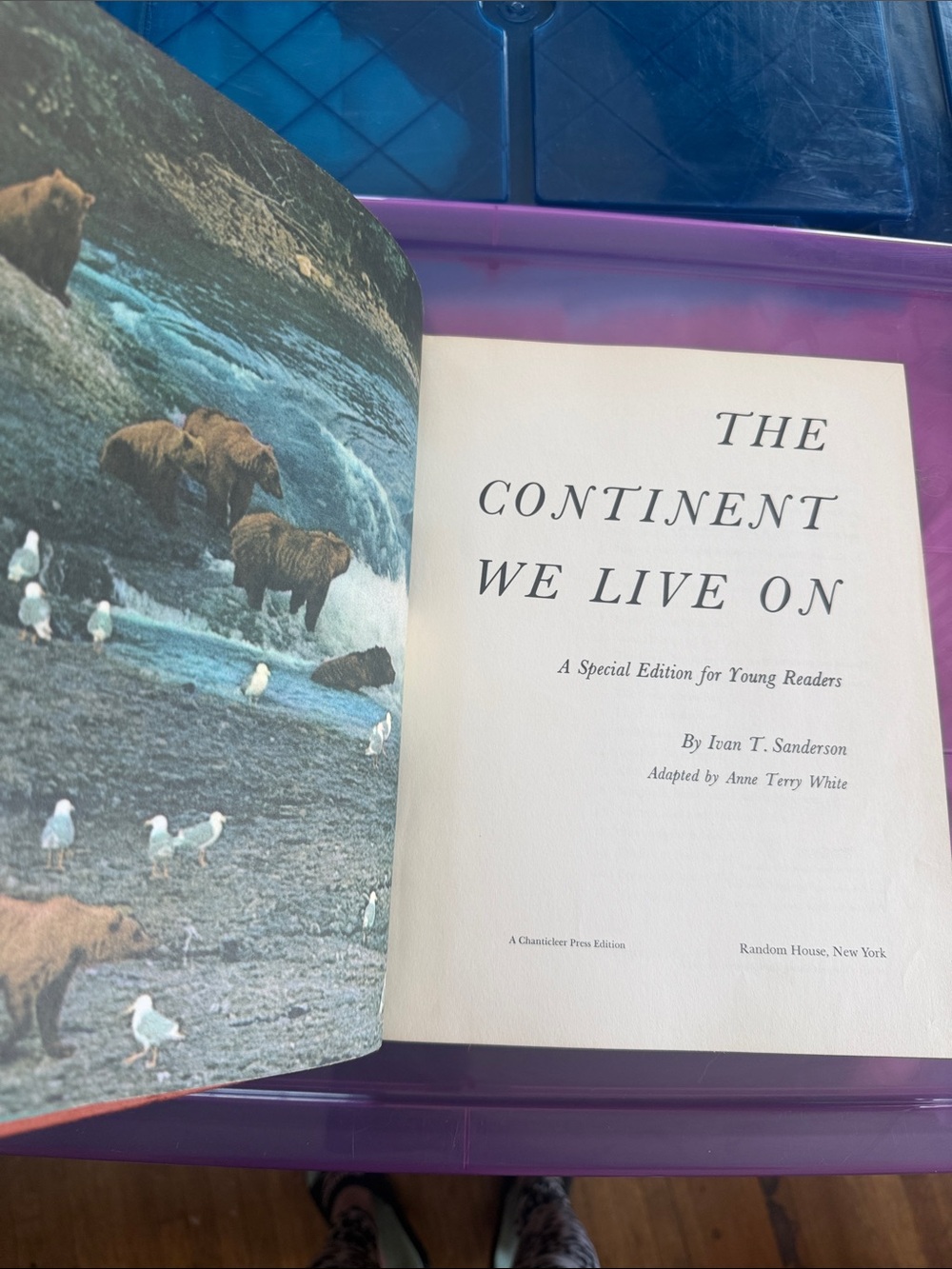 1962 The Continent We Live On - Illustrated Children's Book
